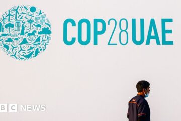 COP28: Can a climate summit in an oil state change anything?