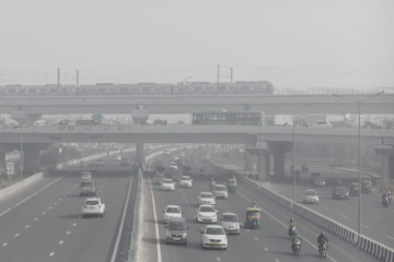 Delhi-NCR Air Pollution: From Air Purifying Plants To Special Curtains- Know How To Protect Yourself From The Harmful Toxins