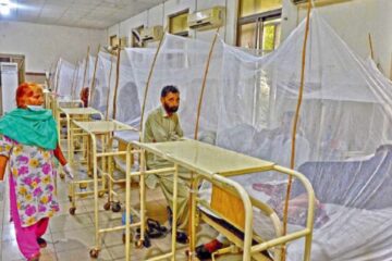 several dengue patients are isolated in mosquito nets at the benazir bhutto hospital rawalpindi photo online