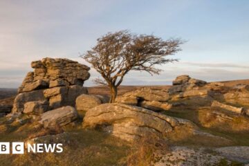 England to get new national park as part of nature plan