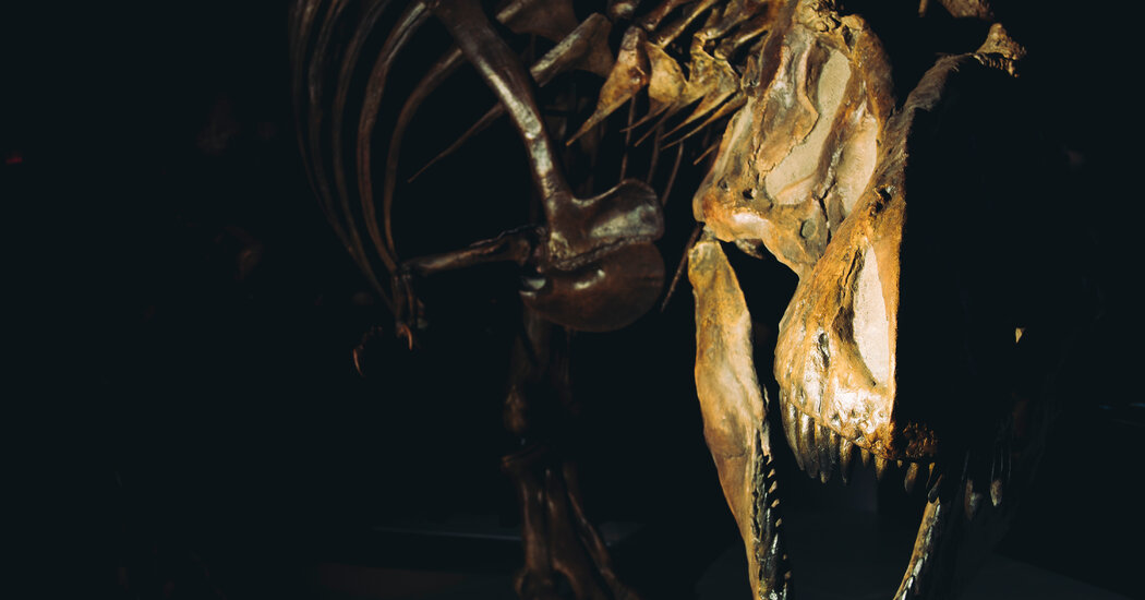 How the T. Rex Built Up That Bone-Crushing Bite