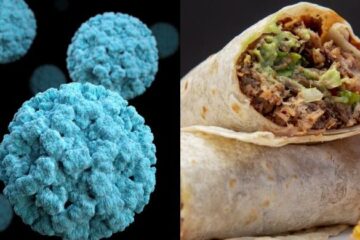 Illinois health dept investigates norovirus outbreak linked to dollar burrito event