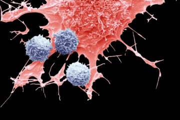 Innovative Cancer Treatment May Sometimes Cause Cancer, F.D.A. Says