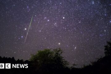 Leonid meteor shower: When, where and how to catch a glimpse of the shooting stars