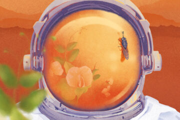 Mars Needs Insects