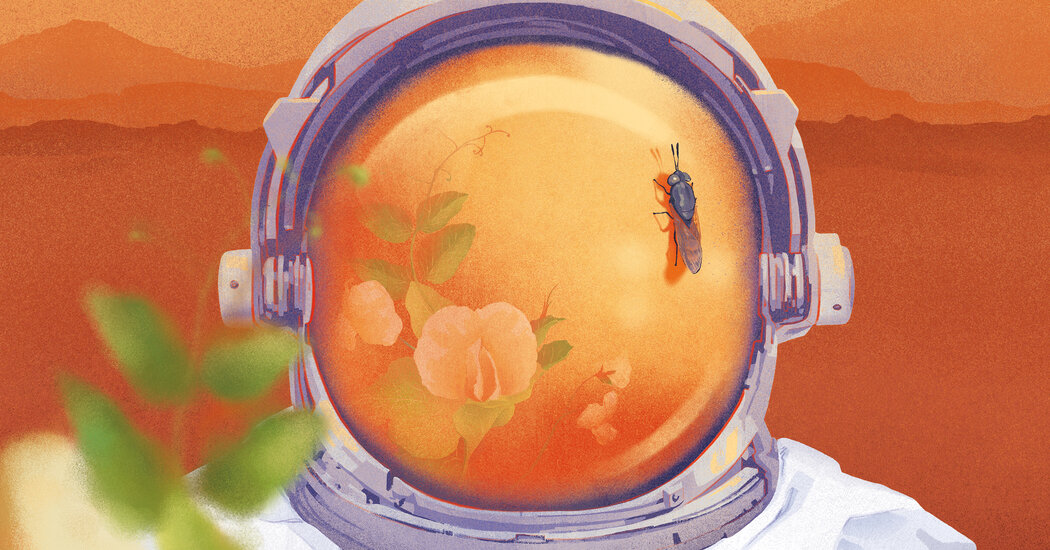 Mars Needs Insects