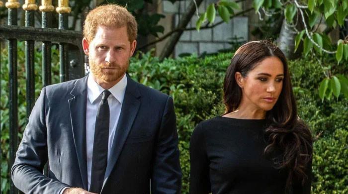 Meghan Markle, Prince Harry 'are not the ones snubbing' before King birthday