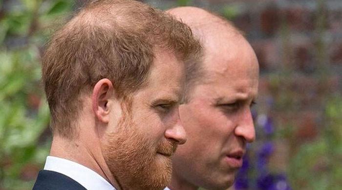 Prince William 'refuses to recognize' Prince Harry amid brotherly feud