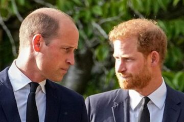 Prince William sees 'defector' Prince Harry 'threat' to Royal Family integrity