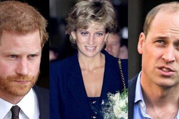 Princess Diana 'looms over' Prince Harry, Prince William 'rift'