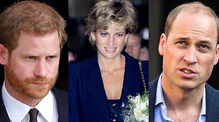 Princess Diana 'looms over' Prince Harry, Prince William 'rift'