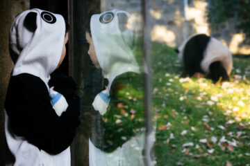 The End of Panda Diplomacy?