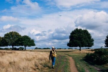 6 surprising benefits of walking - SUCH TV