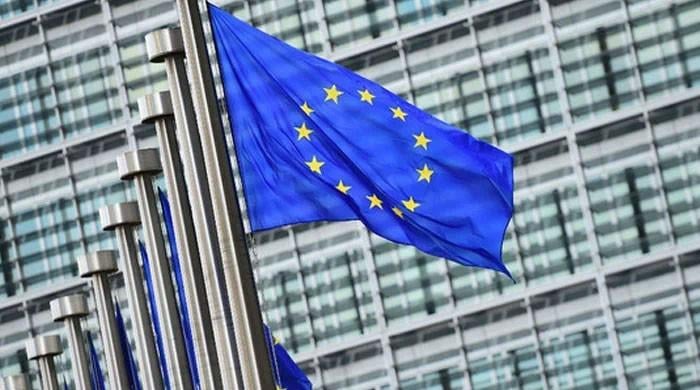 EU not to send full election observation mission for Feb 8 polls