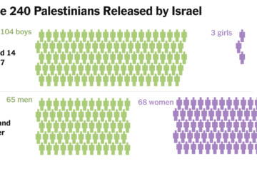 Freed Palestinians Were Mostly Young and Not Convicted of Crimes