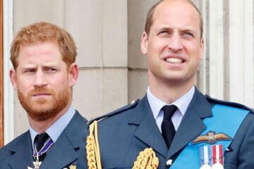 Prince Harry receives sweet advice over reconciliation with King Charles, William amid race row