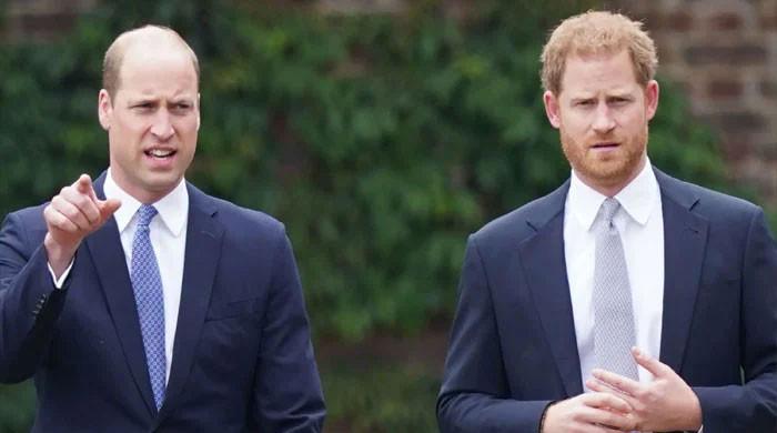 Prince Harry told to 'settle dust' with Royals: 'Time is healer'