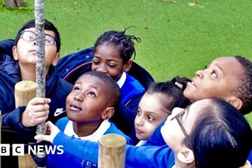 The school planting trees to boost pupils' health