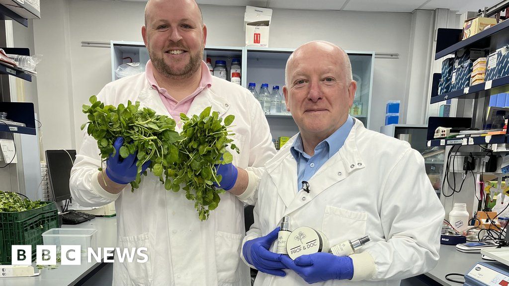 Devon researchers believe watercress could treat nappy rash