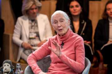 Jane Goodall Says 2024 is the ‘Most Consequential Voting Year’