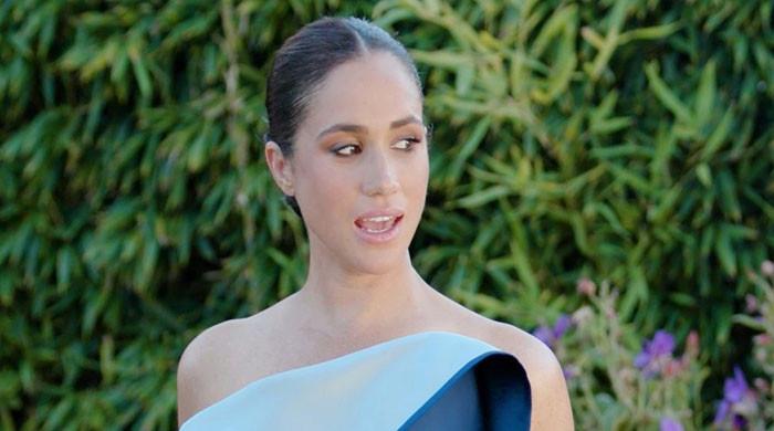 Meghan Markle pushed to Royal duties: 'Cannot be blamed'