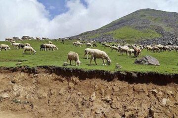 Snowless winter freezes economic nerve of Kalam, Malam Jabba valleys