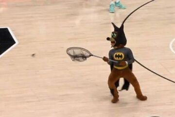 WATCH: San Antonio Spurs mascot dressed as Batman swats bat mid-game