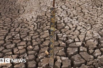 Bogota begins water rationing amid severe drought