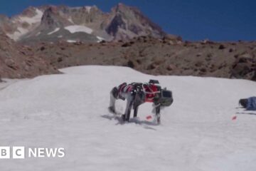 Engineers in Oregon train dog robot to walk on Moon