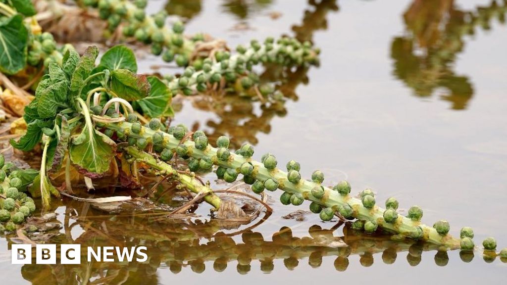 Food security threatened by extreme flooding, NFU warns