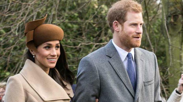 Harry, Meghan could be ‘hugely valuable assets' to monarchy amid Charles, Kate cancer