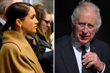 Meghan Markle acting as a lion exploiting vulnerabilities in the King's health