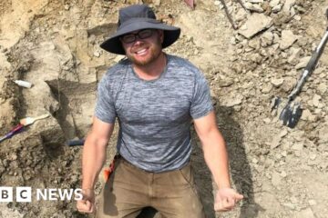 Dinosaur hunter stumbles across million-dollar find