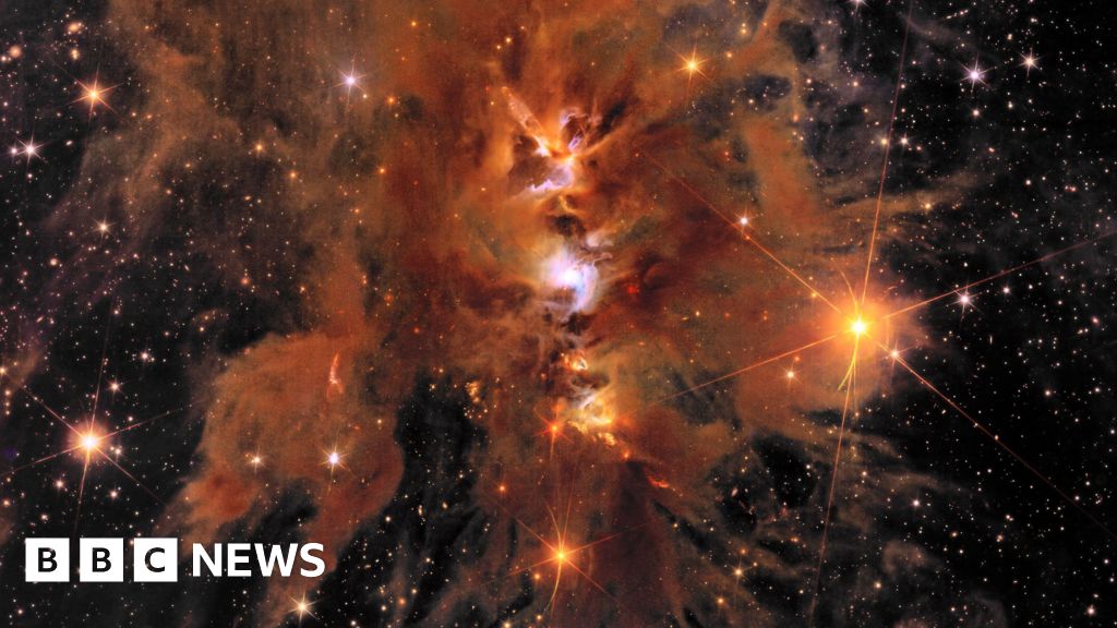 Durham scientists celebrate new Euclid Universe images